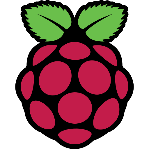 Raspberry pi Icon